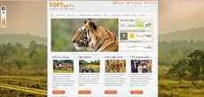 Travel Operators for Tigers (TOFT)